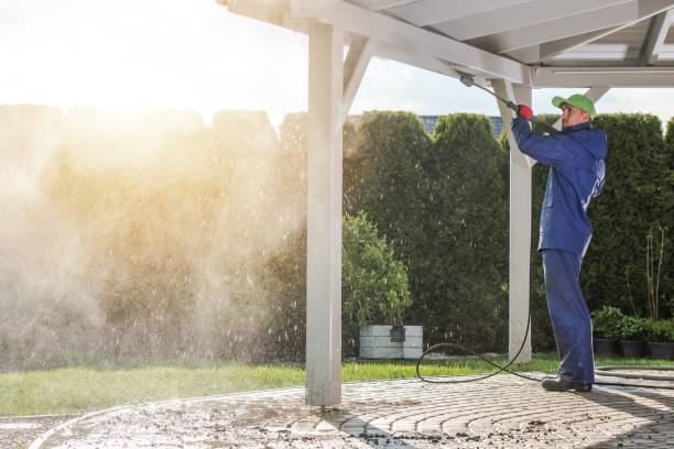 Best Driveway Pressure Washing  in Jackson, MO